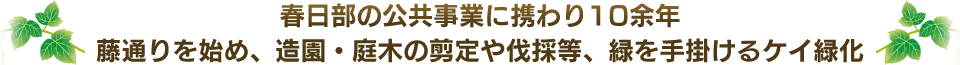 春日部の公共事業に携わり10余年　藤通りを始め、造園・庭木の剪定や伐採等、緑を手掛けるケイ緑化